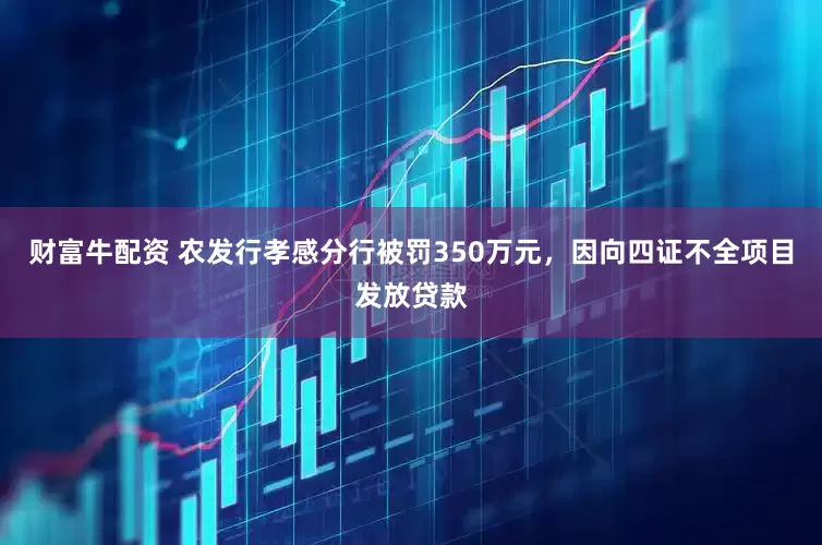 财富牛配资 农发行孝感分行被罚350万元，因向四证不全项目发放贷款