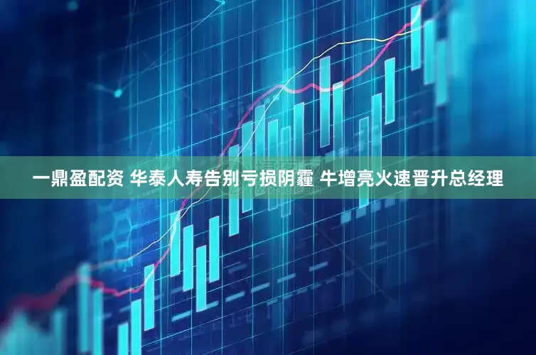 一鼎盈配资 华泰人寿告别亏损阴霾 牛增亮火速晋升总经理