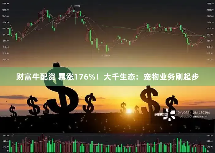 财富牛配资 暴涨176%！大千生态：宠物业务刚起步